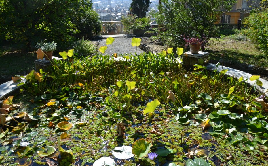 Orto Botanico di Genova, Genoa, Italy, Italy